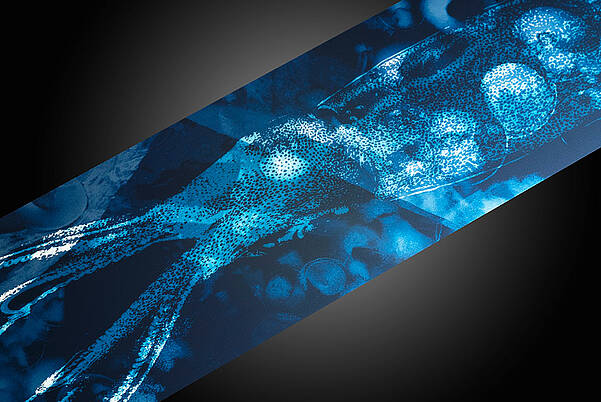 Automotive dashboard with blue light design by LEONHARD KURZ