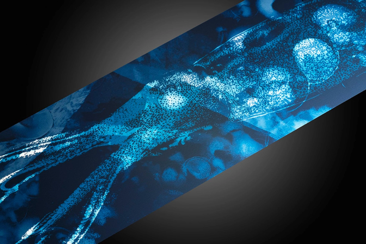 Embrace Spectacular Lighting Designs for Vehicle Components Automotive dashboard with blue light design by LEONHARD KURZ