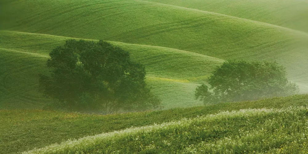 Top Ranking in Sustainability Rating: Sustainable Production Worldwide